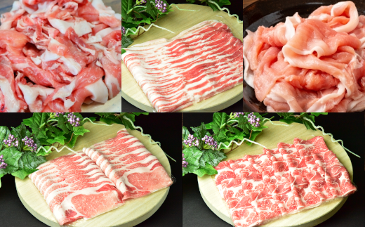 宮城県蔵王町のふるさと納税 【定期便3か月】JAPAN X5種スライスセット1.8kg 【真空パック・ロース・肩ロース・バラ・モモ・小間】　【04301-0550】