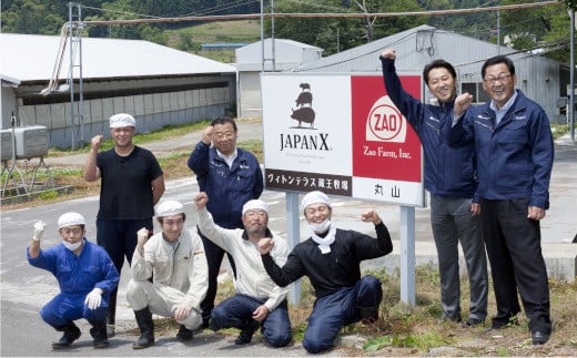 宮城県蔵王町のふるさと納税 【定期便3か月】JAPAN X5種スライスセット1.8kg 【真空パック・ロース・肩ロース・バラ・モモ・小間】　【04301-0550】