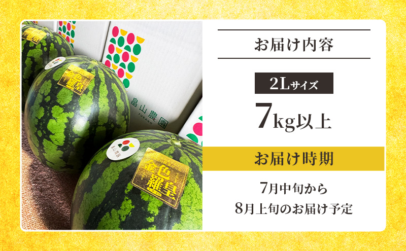 先行予約 富良野産 大玉 スイカ 金色羅皇 2L 7kg 以上×1玉 令和7
