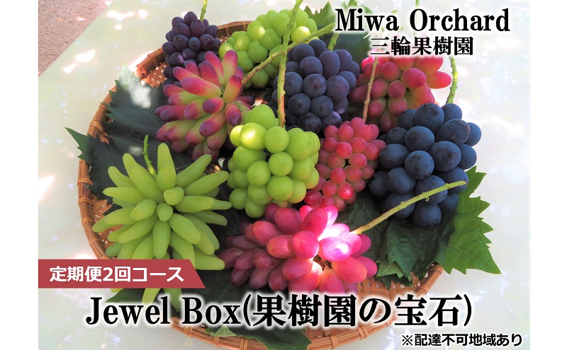 【岡山県赤磐市】ぶどう 2026年 先行予約 ジュエルボックス 皮ごと食べることのできる 葡萄 4〜5品種 詰合せ 約2kg 定期便 2回 コース ブドウ 葡萄 岡山県 赤磐市産 国産 フルーツ 果物 ギフト 三輪果樹園 岡山のぶどう 食べ比べ