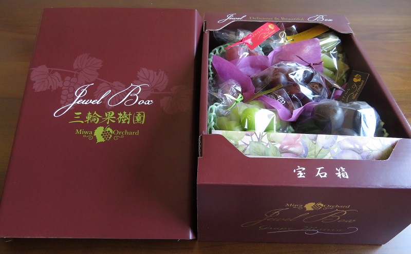 ぶどう 2026年 先行予約 ジュエルボックス 皮ごと食べることのできる 葡萄 4～5品種 詰合せ 約2kg 定期便 2回 コース ブドウ 葡萄 岡山県 赤磐市産 国産 フルーツ 果物 ギフト 三輪果樹園 岡山のぶどう 食べ比べ