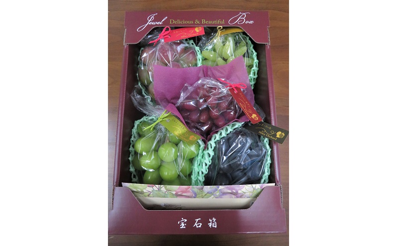 ぶどう 2026年 先行予約 ジュエルボックス 皮ごと食べることのできる 葡萄 4～5品種 詰合せ 約2kg 定期便 2回 コース ブドウ 葡萄 岡山県 赤磐市産 国産 フルーツ 果物 ギフト 三輪果樹園 岡山のぶどう 食べ比べ