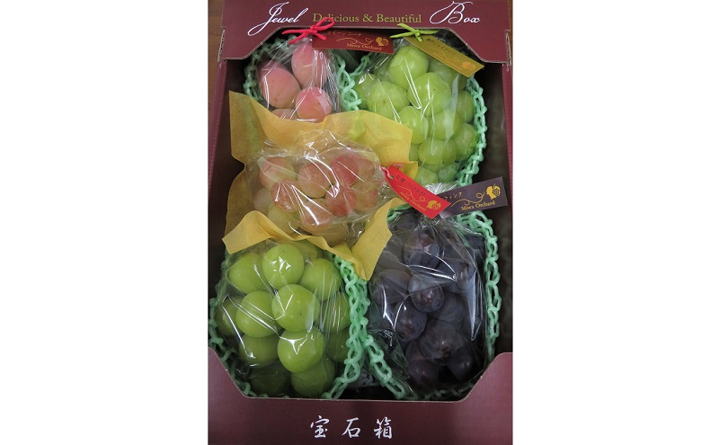 ぶどう 2026年 先行予約 ジュエルボックス 皮ごと食べることのできる 葡萄 4～5品種 詰合せ 約2kg 定期便 2回 コース ブドウ 葡萄 岡山県 赤磐市産 国産 フルーツ 果物 ギフト 三輪果樹園 岡山のぶどう 食べ比べ