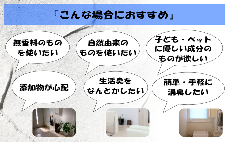 消臭スプレー エコアースボトル1000ml×2本 計2L セット 消臭剤
