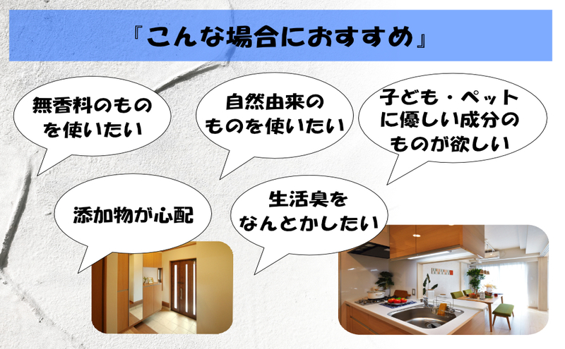 消臭スプレー エコアーススプレー 300ml×2本 計600ml セット 消臭剤
