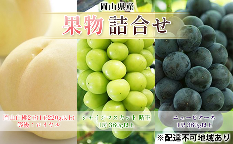 �y���R�������s�z�Ԃǂ� 2026�N ��s�\�� �ʕ� �l���� ���R ���� 2�� �����F���C�����i1��220g�ȏ�j �V���C���}�X�J�b�g ���� 1�[ 380g�ȏ� �j���[�s�I�[�l 1�[ 380g�ȏ� ���� ���� ���R���Y ���Y �t���[�c �ʕ� �M�t�g