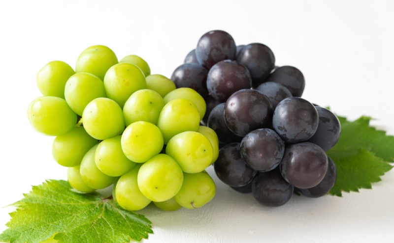 ぶどう 2026年 先行予約 果物 詰合せ 岡山 白桃 2玉 等級：ロイヤル（1玉220g以上） シャインマスカット 晴王 1房 380g以上 ニューピオーネ 1房 380g以上 もも 葡萄 岡山県産 国産 フルーツ 果物 ギフト