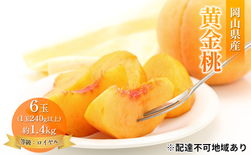 �y���R�������s�z�� 2026�N ��s�\�� ���R ������ 6�� ��1.4kg �����F���C�����i1�� 240g�ȏ�j ���� ���� ���R���Y ���Y �t���[�c �ʕ� �M�t�g