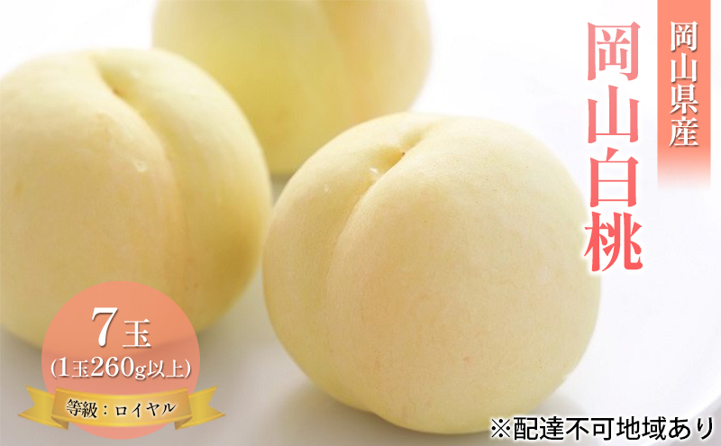 �y���R�������s�z�� 2026�N ��s�\�� ���R ���� 7�� ��1.8kg �����F���C�����i1�� 260g�ȏ�j ���� ���� ���R���Y ���Y �t���[�c �ʕ� �M�t�g