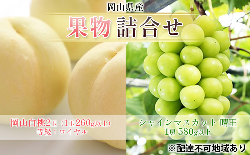 �y���R�������s�z�Ԃǂ� 2026�N ��s�\�� �ʕ� �l���� ���R ���� 2�� �����F���C�����i1��260g�ȏ�j �V���C�� �}�X�J�b�g ���� 1�[ 580g�ȏ� ���� ���� ���R���Y ���Y �t���[�c �ʕ� �M�t�g