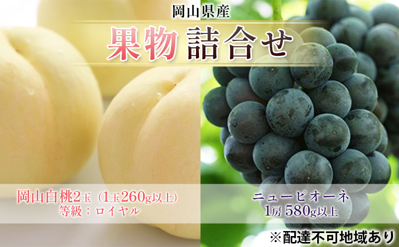 �y���R�������s�z�Ԃǂ� 2026�N ��s�\�� �ʕ� �l���� ���R ���� 2�� �����F���C�����i1��260g�ȏ�j �j���[ �s�I�[�l  1�[ 580g�ȏ� ���� ���� ���R���Y ���Y �t���[�c �ʕ� �M�t�g