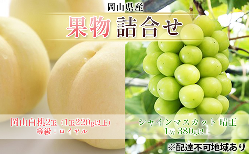 ぶどう 2026年 先行予約 果物 詰合せ 岡山 白桃 2玉 等級：ロイヤル（1玉220g以上） シャイン マスカット 晴王 1房 380g以上 もも 葡萄 岡山県産 国産 フルーツ 果物 ギフト