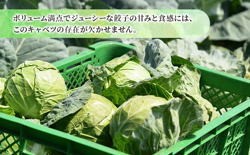 ボリューム満点 手作り冷凍餃子 15個（2～3人前）×1袋［錦華園］【 野菜 キャベツ たっぷり 厚い 手包み 手作り もちもち モチモチ 汁 町中華 中華 北海道 十勝 幕別 】