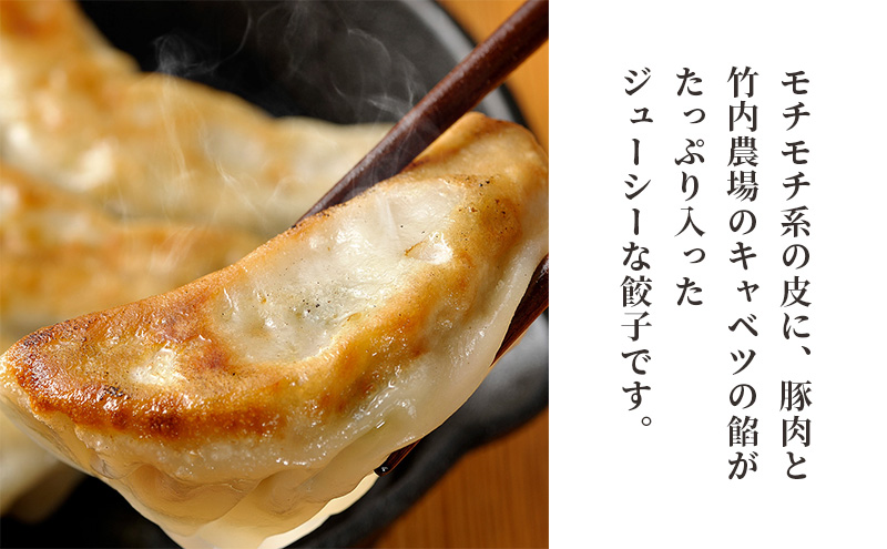 ボリューム満点 手作り冷凍餃子 150個 (15個×10袋)［錦華園］【 野菜 キャベツ たっぷり 厚い 手包み 手作り もちもち モチモチ 汁 町中華 中華 北海道 十勝 幕別 】