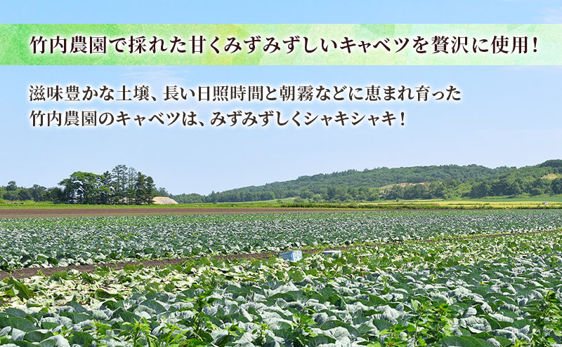 ボリューム満点 手作り冷凍餃子 150個 (15個×10袋)［錦華園］【 野菜 キャベツ たっぷり 厚い 手包み 手作り もちもち モチモチ 汁 町中華 中華 北海道 十勝 幕別 】