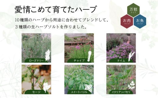 限定生産！手摘み生ハーブソルト お試しパック 万能タイプ（30g×1袋）