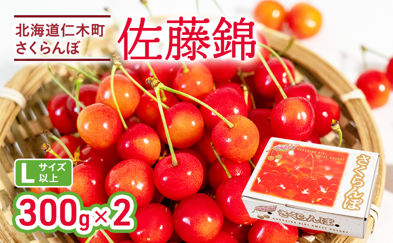 北海道仁木町のふるさと納税 先行受付 さくらんぼ 佐藤錦 300g×2P 計600g Lサイズ 北海道 仁木町　国産 旬のフルーツ 旬の果物 デザートサクランボ チェリー フルーツ 果物 果物類 仁木 [カムナビファーム]