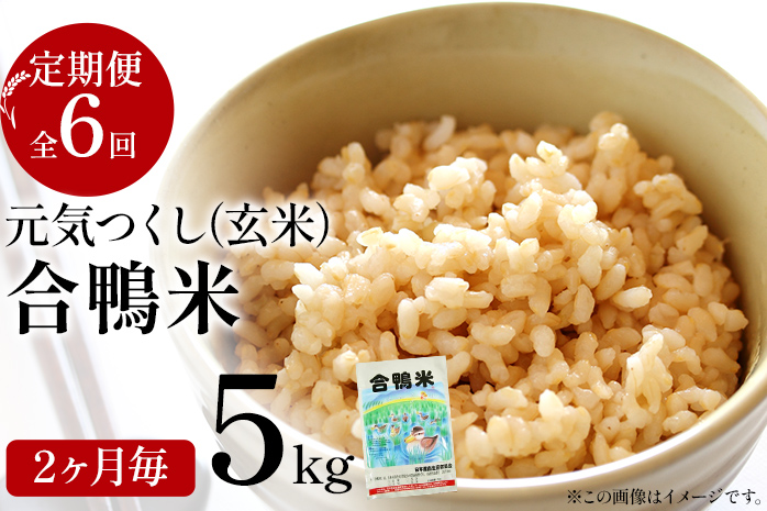 令和7年産 新米予約 合鴨米「元気つくし」(玄米・5kg)定期便6回コース BI10 ※2025年10月より順次出荷予定(隔月発送予定)
