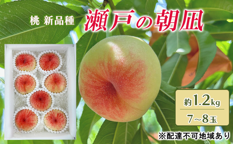 桃 2026年 先行予約 瀬戸の朝凪 KU-PP1 約1.2kg 7～8玉 新品種 モモ もも フルーツ 果物 岡山 赤磐市産