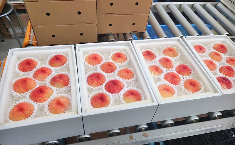 桃 2026年 先行予約 瀬戸の朝凪 KU-PP1 約1.2kg 7～8玉 新品種 モモ もも フルーツ 果物 岡山 赤磐市産