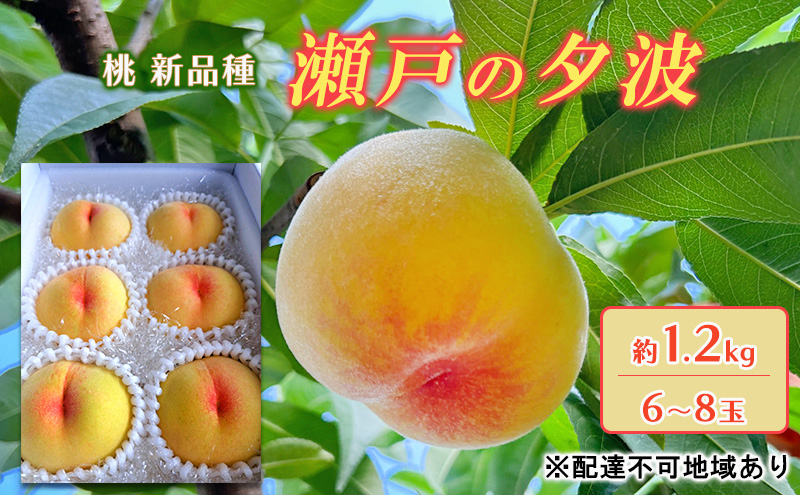 桃 2026年 先行予約 瀬戸の夕波 KU-PP2 約1.2kg 6～8玉 新品種 モモ もも フルーツ 果物 岡山 赤磐市産