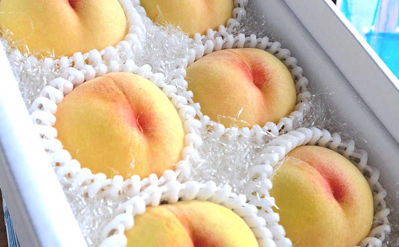 桃 2026年 先行予約 瀬戸の夕波 KU-PP2 約1.2kg 6～8玉 新品種 モモ もも フルーツ 果物 岡山 赤磐市産