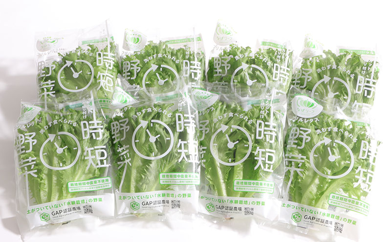 なばリーフ フリルレタス パック 8p入/ 水耕栽培 時短 野菜 レタス 特殊フィルム包装 新鮮 洗わずに食べられる 無洗 サラダ お鍋 スープ ラーメン サンドウィッチ 手軽 安全 安心 栄養 健康