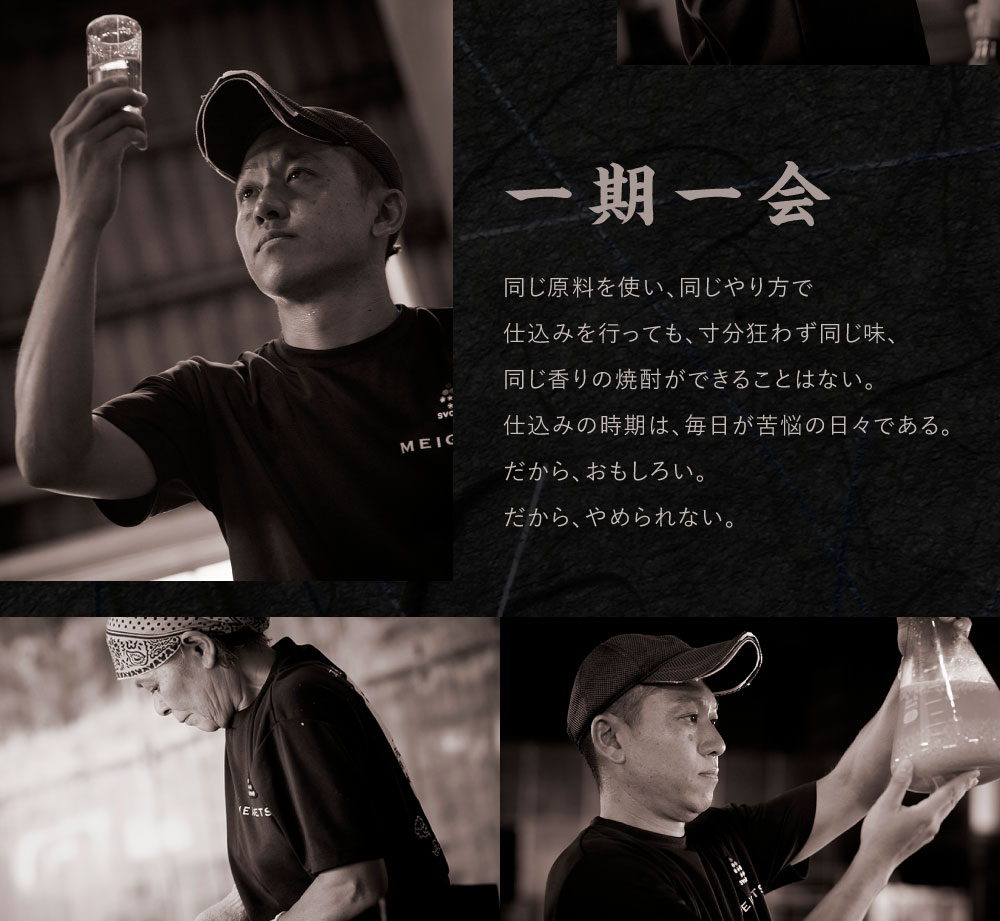 焼酎「いその波平 サザエさん公認 本格いも焼酎」1800ml 1本 サザエさん お酒 瓶 アルコール度数 25度 宮崎県産 九州産 えびの市 明石酒造 アニメ 公認 本格焼酎 送料無料