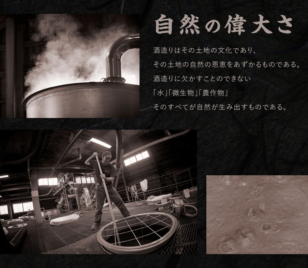 焼酎「いその波平 サザエさん公認本格いも焼酎」「いその波平 サザエさん公認本格むぎ焼酎」720ml 各1本セット サザエさん お酒 瓶 アルコール度数 25度 宮崎県産 九州産 えびの市 明石酒造 アニメ 公認 本格焼酎 送料無料