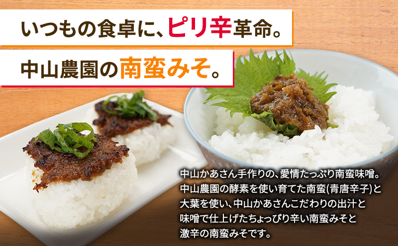 十勝 幕別 中山かあさんの南蛮みそ 辛口 150g 2本セット【 白米 米 パスタ 十勝 おにぎり きゅうり 南蛮みそ 南蛮 味噌 青唐辛子 ご飯のお供 大葉 しそ おつまみ 国産 無着色 無添加 北海道 】