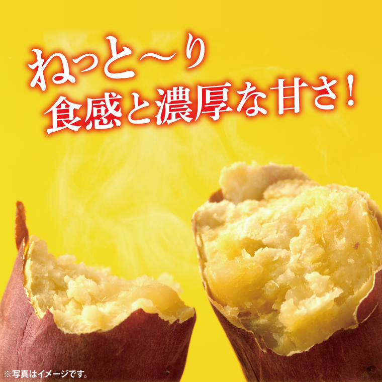 【先行予約】【訳あり 不揃い】完熟高糖度 さつまいも（紅はるか）約5kg（サイズ：2S～L）【熟成 サツマイモ 焼き芋 訳あり 訳あり キュアリング 茨城県 鹿嶋市産】【2025年12月～順次発送】（KDV-002）