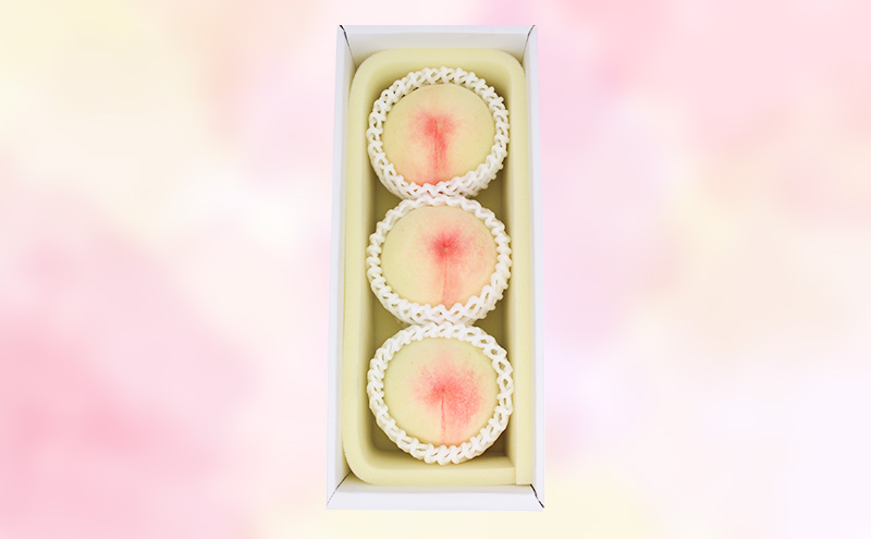 もも 2026年 先行予約 岡山白桃 ロイヤル (晩生) 3玉 合計約800g  (8月中旬～8月下旬出荷予定)