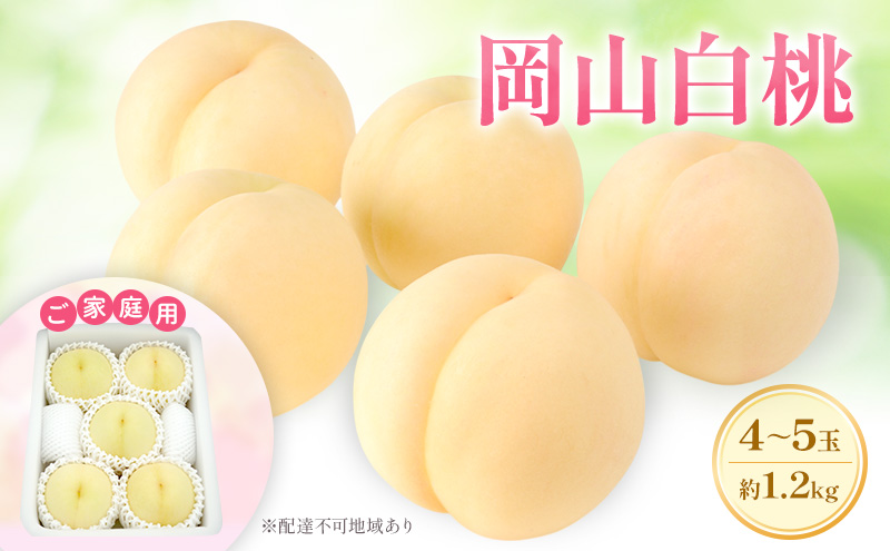 【岡山県里庄町】もも 2026年 先行予約 【ご家庭用】 岡山白桃 エース 4〜5玉 約1.2kg  (6月下旬〜7月下旬出荷予定)