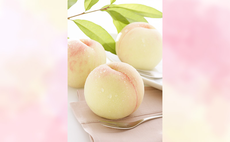 もも 2026年 先行予約 【ご家庭用】 岡山白桃 エース 4～5玉 約1.2kg  (6月下旬～7月下旬出荷予定)