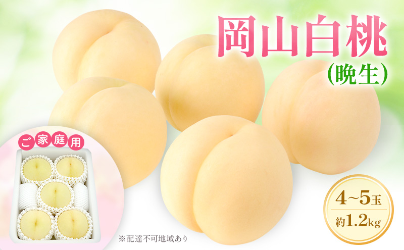 もも 2026年 先行予約 【ご家庭用】 岡山白桃 エース (晩生) 4～5玉 約1.2kg  (8月中旬～8月下旬出荷予定)