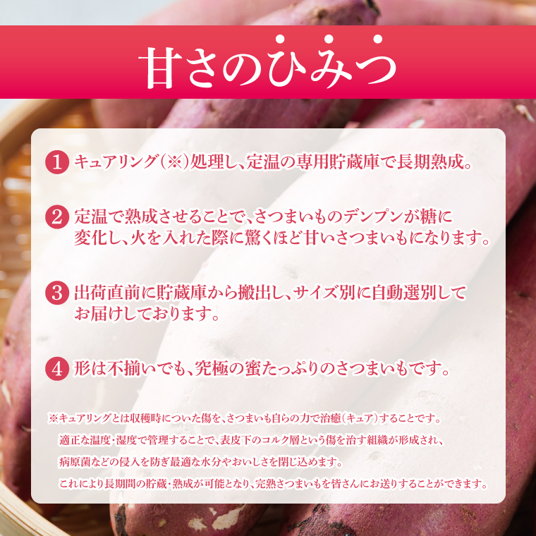 【先行予約】【訳あり 不揃い】完熟高糖度 さつまいも（紅はるか）約5kg（サイズ：2L～4L）【熟成 サツマイモ 焼き芋 キュアリング 茨城県 鹿嶋市産】【2025年12月～順次発送】（KDV-001）