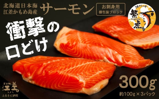 ＼配送時期指定可／北海道産 サーモン お刺