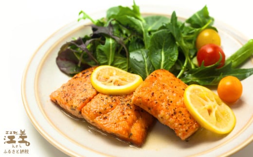 北海道江差町のふるさと納税 【ご愛顧感謝寄附額】【年内配送受付12/23まで】北海道産 サーモン お刺身用ブロック 500g（100g×5P）　日本海 かもめ島海面養殖　純国産 ブランドサーモン『江さしっ子 繁虎』　衝撃の口どけ　とろける脂　生食可　冷凍　小分け　個包装　トラウトサーモン　刺身　サーモンステーキ　カルパッチョ　海鮮　鮭　さけ　シャケ　しゃけ　さーもん