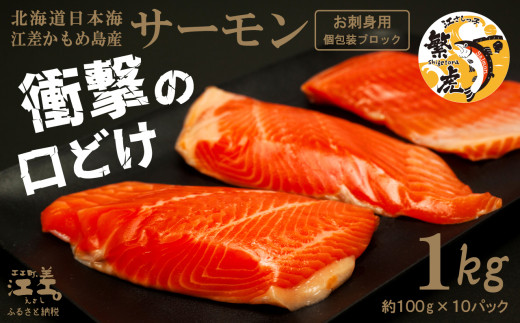 北海道江差町のふるさと納税 ＼配送時期指定可／北海道産 サーモン お刺身用ブロック 1kg（100g×10P）　日本海 かもめ島海面養殖　純国産 ブランドサーモン『江さしっ子 繁虎』　衝撃の口どけ　とろける脂　生食可　冷凍　小分け　個包装 　トラウトサーモン　刺身　サーモンステーキ　カルパッチョ　海鮮　鮭　さけ　シャケ　しゃけ　さーもん