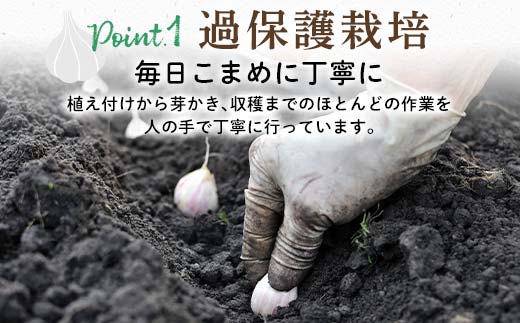 FK7-0180_【先行予約】嘉島町産 乾燥にんにく500g