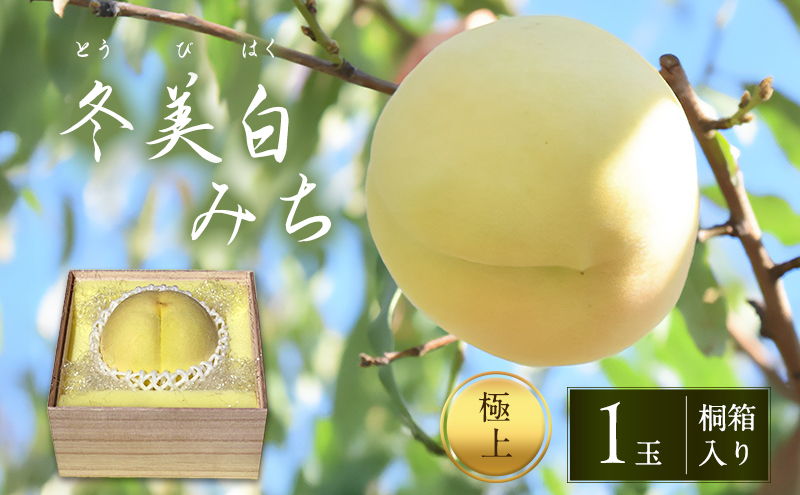 �y���R���Ԕ֎s�z�� 2026�N ��s�\�� ���� �~���� �Ƃ��т͂� �ɏ�1�� �u�݂��v  �˔����� ���� ���� �ߘa7�N ���R �Ԕ֎s�Y ���Y �t���[�c �ʕ� �M�t�g �ʓ� �������� �_�炩�� �H�� ��ϋM�d �����x �͔|���@