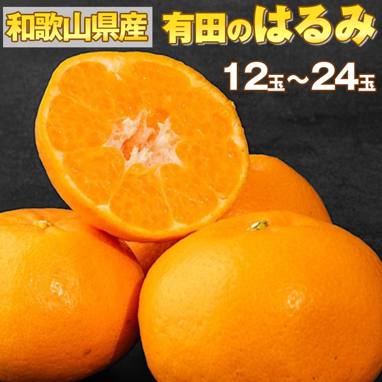 【産地直送】和歌山県産 有田のはるみ 12玉～24玉 ※2026年1月中旬～2月下旬頃に順次発送予定