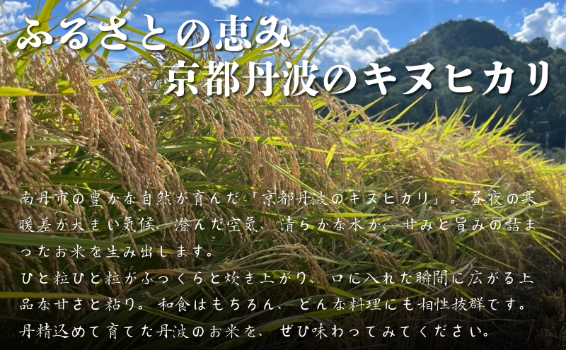令和7年産新米予約 京都丹波産キヌヒカリ 10kg