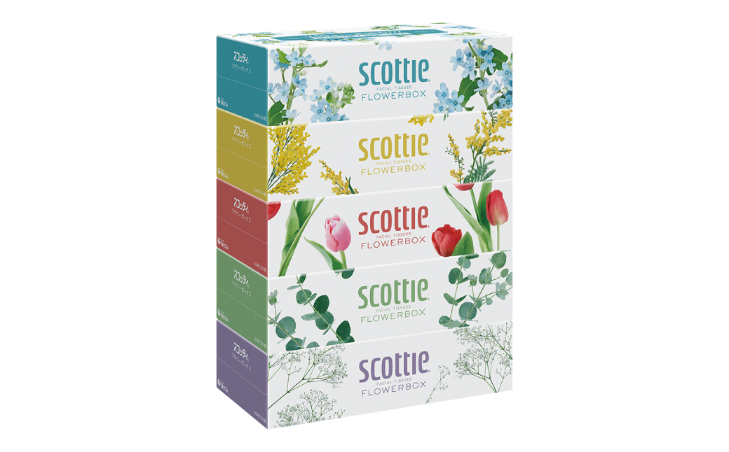 熊本県八代市のふるさと納税 【スコッティ】ティシュー フラワーボックス 250組 5箱パック×1セット 合計5箱 ティッシュ 日用品 生活必需品