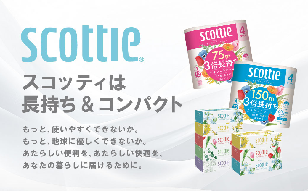 熊本県八代市のふるさと納税 【定期便3回】【毎月お届け】【スコッティ】 組み合わせ ティシュー フラワーボックス 250組 10箱 計30箱 トイレットロール ダブル フラワーパック 3倍長持ち 24ロール 計72ロール ティッシュ トイレットペーパー 日用品 防災備蓄 ストック 備蓄 新生活 防災 消耗品 生活用品 日用消耗品 箱ティッシュ