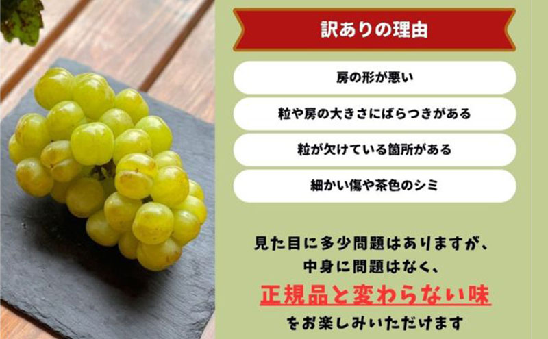 訳あり 瀬戸ジャイアンツ 2房 合計1.0kg以上 産地直送 朝採れ ぶどう 葡萄 岡山 Kawahara Green Farm 岡山県産 2026年 先行予約