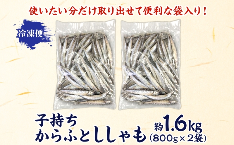 子持ちからふとししゃも 約1.6kg(800g×2) 樺太 魚シシャモ メス おつまみ 魚貝類 干物 量販店 居酒屋 馴染み 人気 卵 詰まった 塩 味付け 