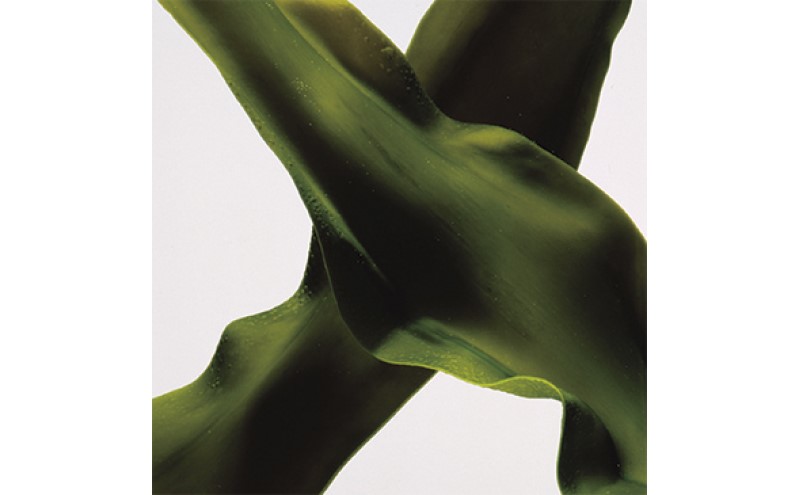 明太子 やまや うちのめんたい切子込150g×2 魚介類 魚卵 水産加工品