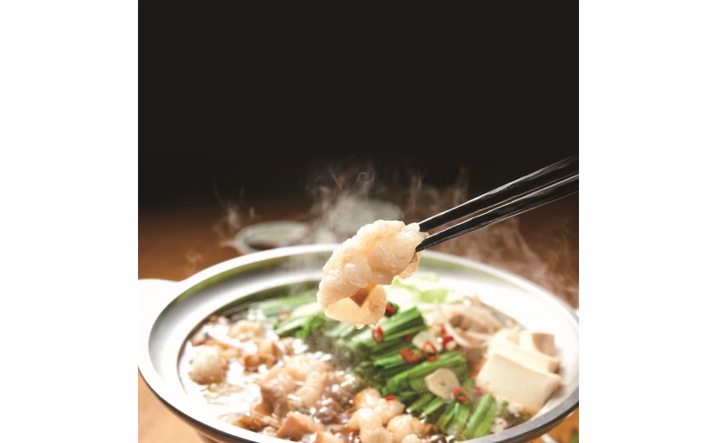 もつ鍋 博多もつ鍋やまや もつ鍋セット あごだし醤油味（3-4人前） もつ 鍋 博多