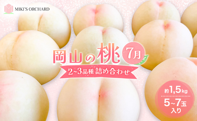 桃 【訳あり 2級品】 2026年 先行予約 岡山の桃 7月の桃 2～3品種 詰め合わせ セット 5～7玉入り 約1.5kg  MIKI’S ORCHARD  もも モモ 果物 岡山 家庭用